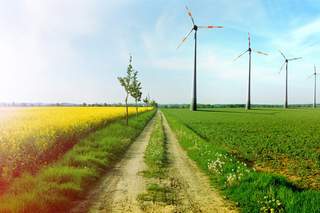 Feld mit Windrädern